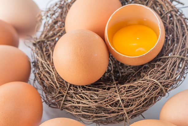 Proteínas del huevo e información nutricional Proteínas del huevo e información nutricional